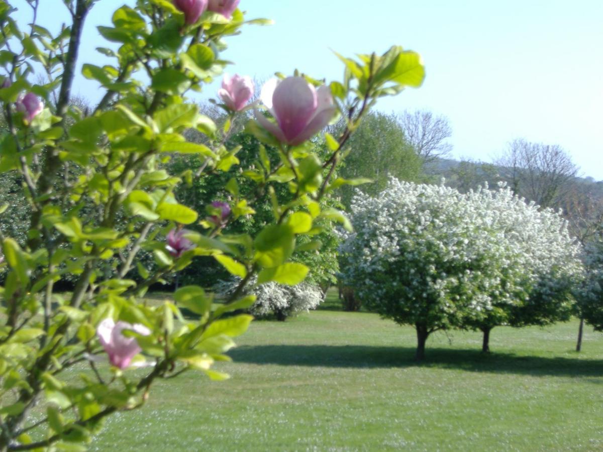 Gites Du Manoir De Goandour Crozon Luaran gambar